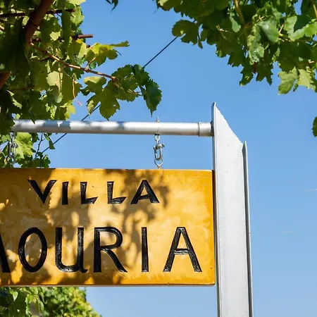 Mouria Holiday home *